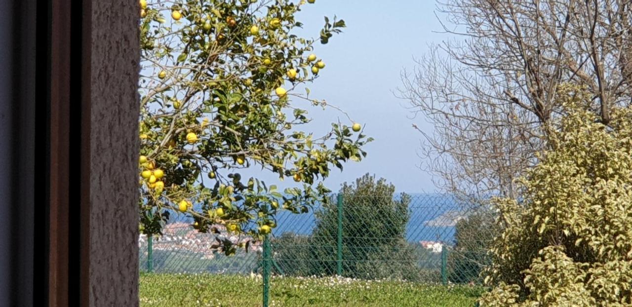 Casa Vacacional Mirador De San Vicente *